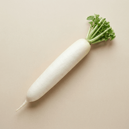 Daikon (Japanse Radijs)