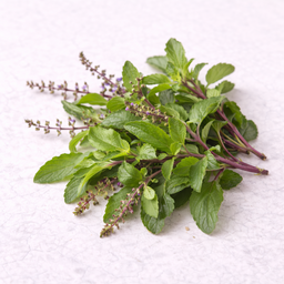 Heilig basilicum