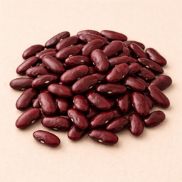 Kidneybonen