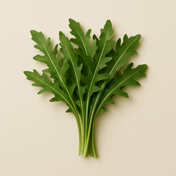 Rucola