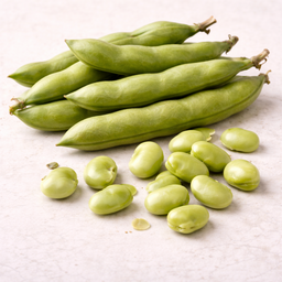Tuinbonen